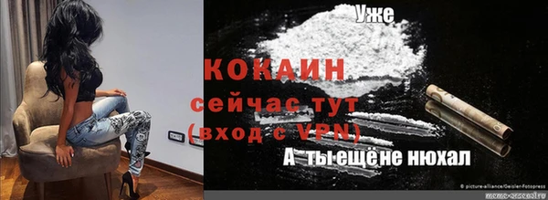 тгк Горняк