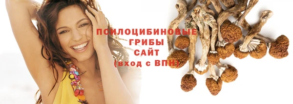 PSILOCYBIN Горно-Алтайск