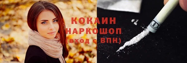 ПСИЛОЦИБИНОВЫЕ ГРИБЫ Горнозаводск