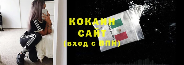 тгк Горняк