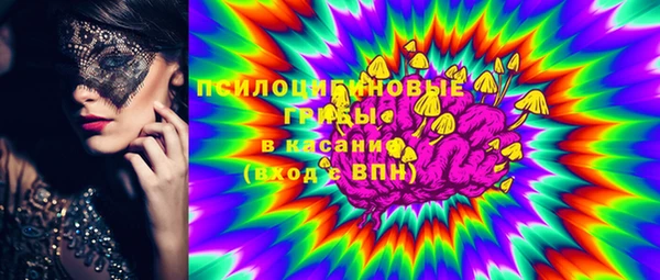 ПСИЛОЦИБИНОВЫЕ ГРИБЫ Горнозаводск