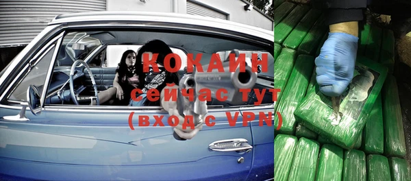 тгк Горняк