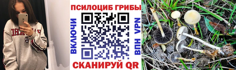 Галлюциногенные грибы мухоморы  Купить закладки  Новоалександровск 