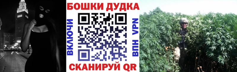 Шишки марихуана семена  Купить  Новоалександровск 